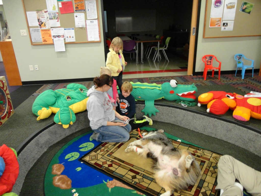 Taz4 Lomira Quad/Graphics Community Library